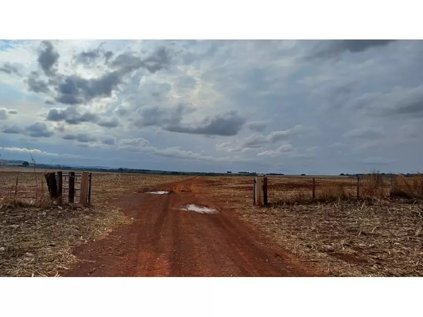 Fazenda com 236 hectares em leilão