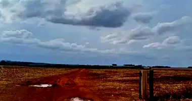 Fazenda com 236 hectares em leilão