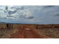 Fazenda com 236 hectares em leilão