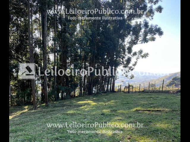 Lote Rural 6,05 ha em Grandes Rios PR - Terreno amplo e fértil