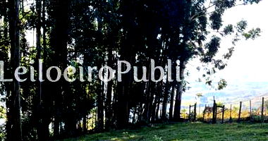 Lote Rural 6,05 ha em Grandes Rios PR - Terreno amplo e fértil