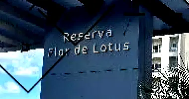 Apartamento com 1 Quarto e 1 Vaga em Ribeirão Preto