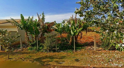 Terreno Urbano de 490m² em Siqueira Campos/PR
