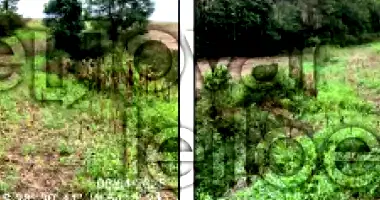 Fração de Terras com 3,46 HA em Augusto Pestana/RS