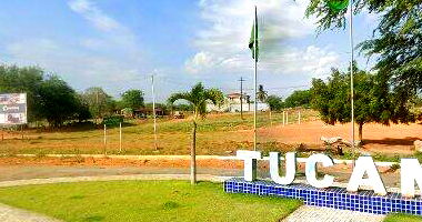 Imóvel rural com 176 hectares e benfeitorias em Tucano/BA