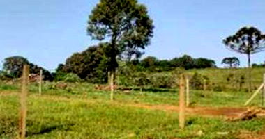 Terreno Rural com 4ha em Guarapuava/PR - Massa Falida Madeirit