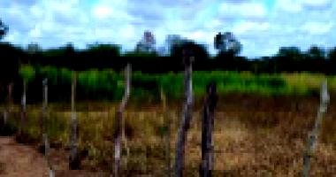 Terreno Rural em Cacimbinhas com 9.599,59 m²