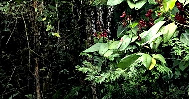 Espaçosa Chácara Rural de 5.877m² Desocupada, Ideal para Novos Projetos