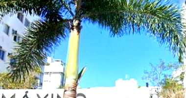 Apartamento no Condomínio Máximo Resort - Ocupado