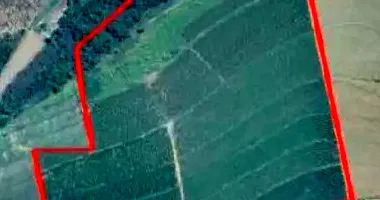 Área Rural com 48,95ha em Leilão