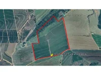 Área Rural com 48,95ha em Leilão