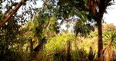 Terreno amplo com 5264,74m², desocupado, ideal para investimento