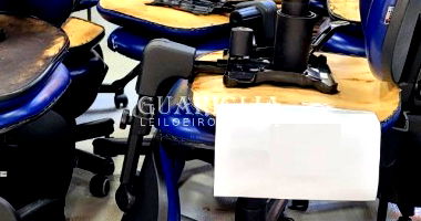 Lote 269: 16 Cadeiras e 1 Cadeira Fixa - Oportunidade Única!