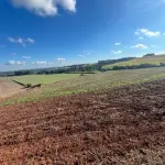 Área Rural de 1 Hectare em Bela Vista - Oportunidade Única!