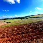 Área Rural de 1 Hectare em Bela Vista - Oportunidade Única!