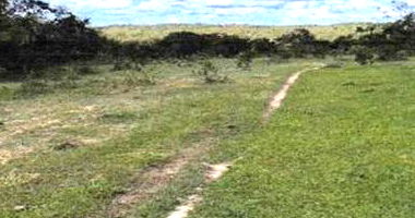 Fazenda Bonanza Rural com 474,8990 HA em Campo Alegre de Goiás/GO