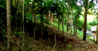 Terreno em Granja Caiapiá com Segurança 24h e Área Verde