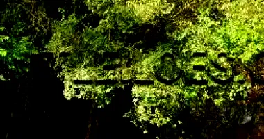 Área Superficial 303,05 m² em Passo do Caí