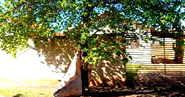 Casa com 2 quartos em Iguatemi/MS