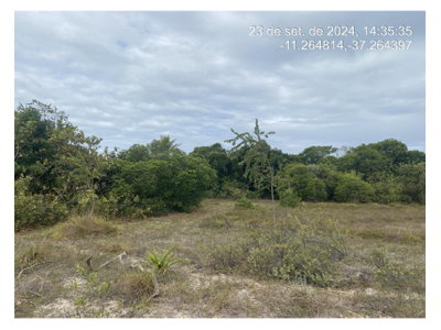 Terreno de 375m² em Loteamento