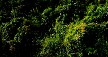 Terreno com 4.584m² em Águas de Lindóia/SP