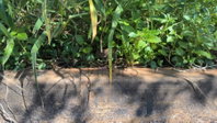 Terreno de 200m² no loteamento Reserva Andaluz