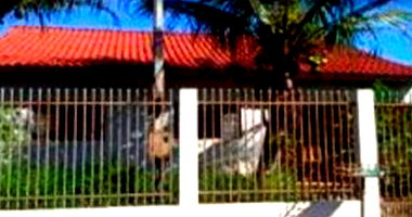 Casa 63m² com terreno 264m², ocupada, ótima oportunidade