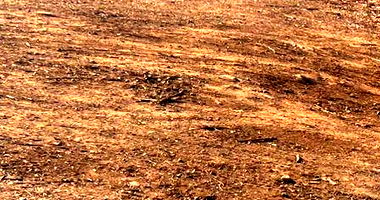 Lote Rural com Construção de 80m² em Alvenaria, 1 Quarto