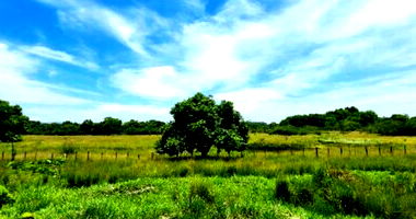 Lote Rural Desocupado em Paciência - Oportunidade Única!