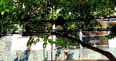 Apartamento com 3 quartos em Vitória/ES