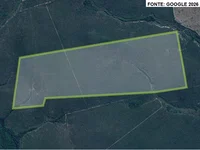 Fazenda rural de 220,91 ha sem benfeitorias