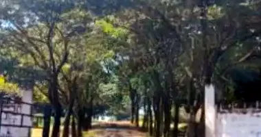 Sítio Rural com 7,26ha, Desocupado, Matrícula Registrada