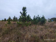 Terreno de 300m² em Praia Real, Torres/RS