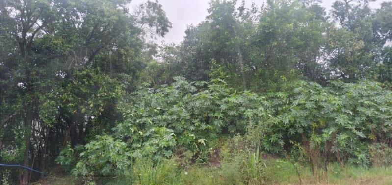 Terreno Urbano em Rondinha/RS com 3.054,57 m²