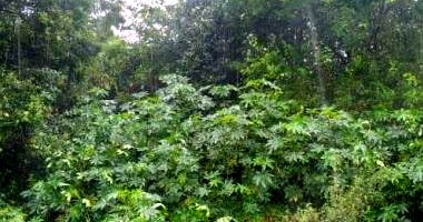 Terreno Urbano em Rondinha/RS com 3.054,57 m²