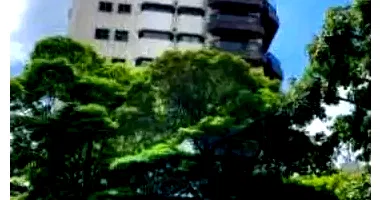 Apartamento Ocupado com 304m² Útil em Vila Andrade, São Paulo