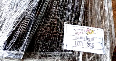 Tele do Radiador - Lote 285 com 1 Unidade