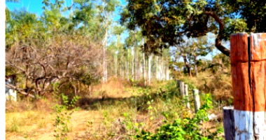 Terreno com 56,97 hectares com benfeitorias e casa para caseiro
