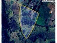 Chácara com 21,53 hectares em Campestre/MG