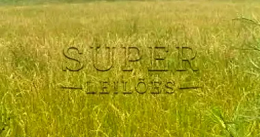 Fração de Terras com 16.830m² em Lagoão/RS