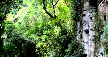 Terreno Rural com Casa e Barracões em Reserva/PR