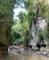 Terreno Rural com Casa e Barracões em Reserva/PR