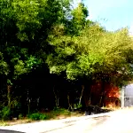 Terreno amplo de 303 m² em área residencial, ideal para projetos.