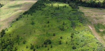 Área Rural de 121.000m² em Janiópolis-PR