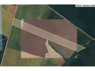 Chácara 72,60 hectares em Sinop/MT - Oportunidade de Investimento