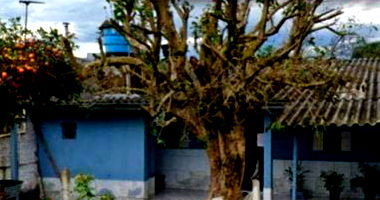 Casa em Sapiranga com 89m² - Oportunidade Única