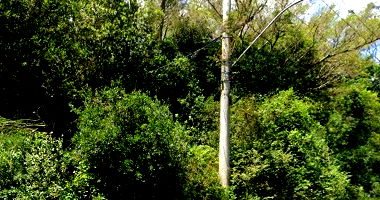 Terreno amplo de 432.000m² em excelente localização, Viamão/RS