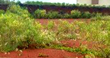 Terreno em Ronda Alta - RS