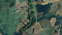 Fazenda Areado 217 ha - Oportunidade única em Indiara-GO