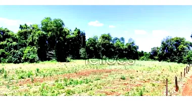 Imóvel Rural de 62.500m² em Três de Maio - RS